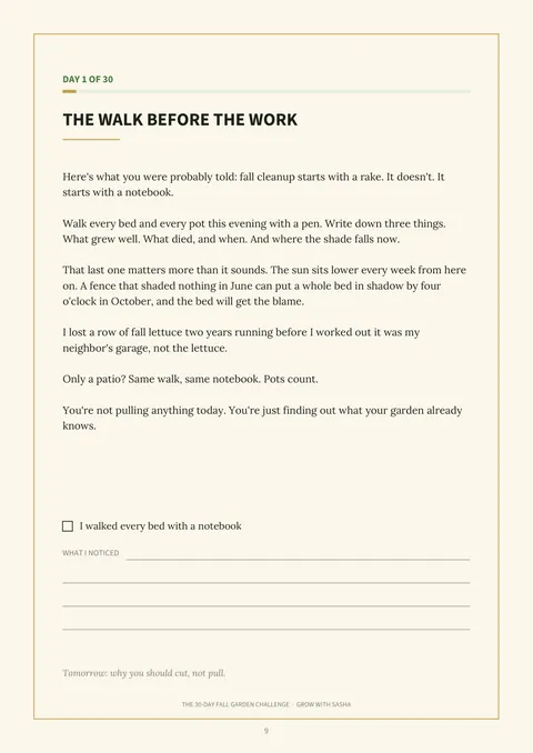 Day 1 of the challenge: the walk before the work